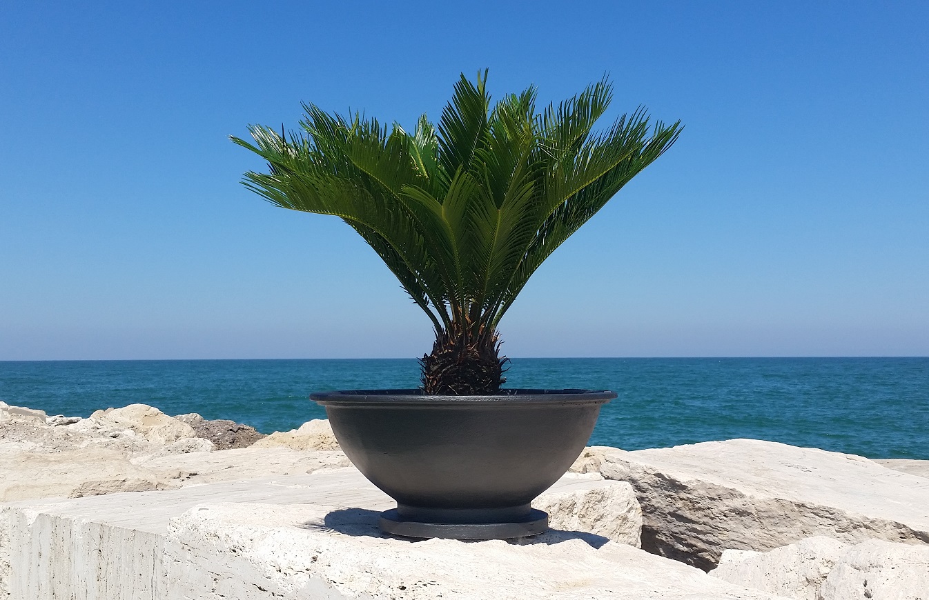 Fioriera in ghisa diam. 59